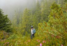 Vancouver Guide - Featured Image