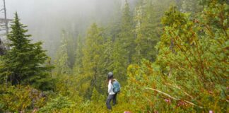Vancouver Guide - Featured Image