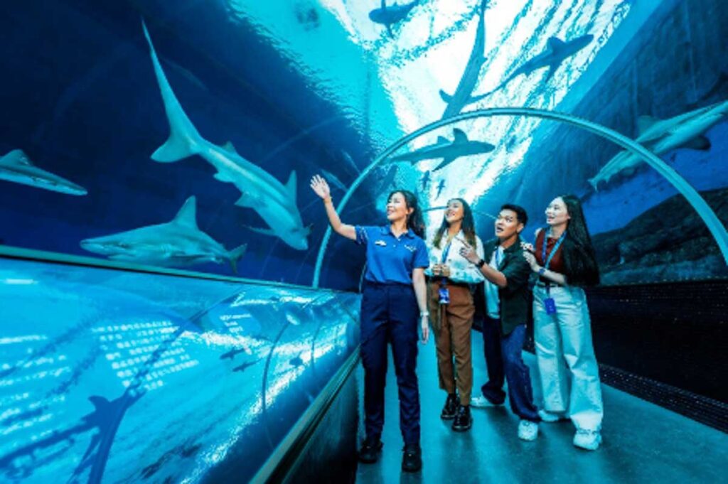 Ocean in Focus Apex Predators - New Things to Do in Singapore August 2026