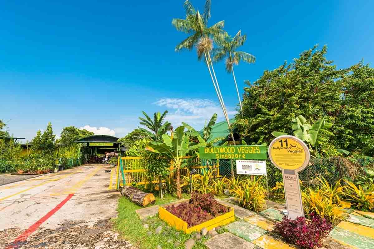 Bollywood Farm_Things to do in Singapore October 2026
