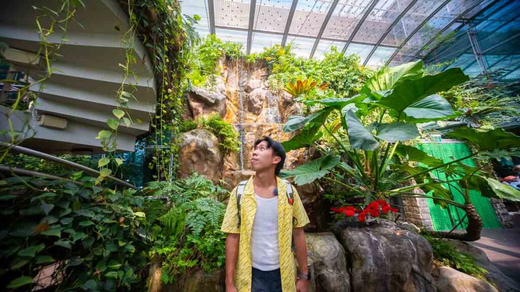 Guy at Changi Airport Butterfly Garden - Things to do in Kota Bharu