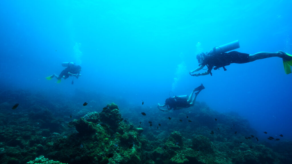 People Scuba Diving at Perhentian Islands - Things to do in Kota Bharu