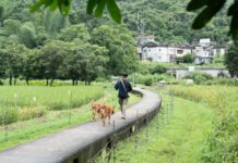 Reviving Rural Roots