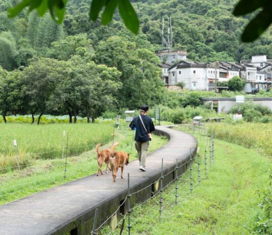 Reviving Rural Roots